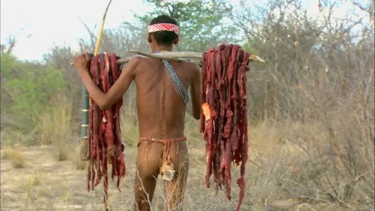 792202628 northern cape hunter san bushmen kalahari